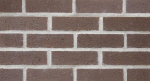 BROWNVELOUR WEB860X467