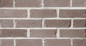 OLDLAFAYETTE WEB860X467